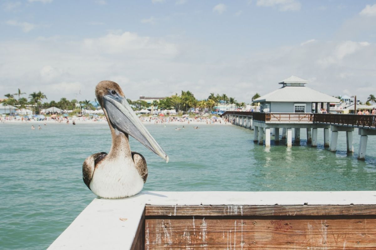 Double the Fun in Naples, Florida 1 featured 1754120776.166885 034c3254 Double the Fun in Naples, Florida