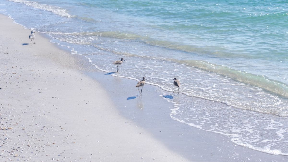 Naples Resident Donald Buske Remembered 1 featured 1751035888.027762 05251834 Naples Resident Donald Buske Remembered