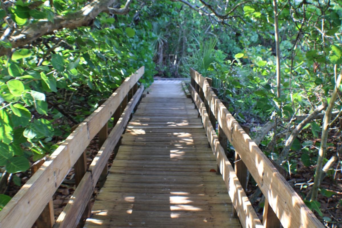 featured 1751482235.801806 167c050f Naples, FL Weather Update: What to Expect