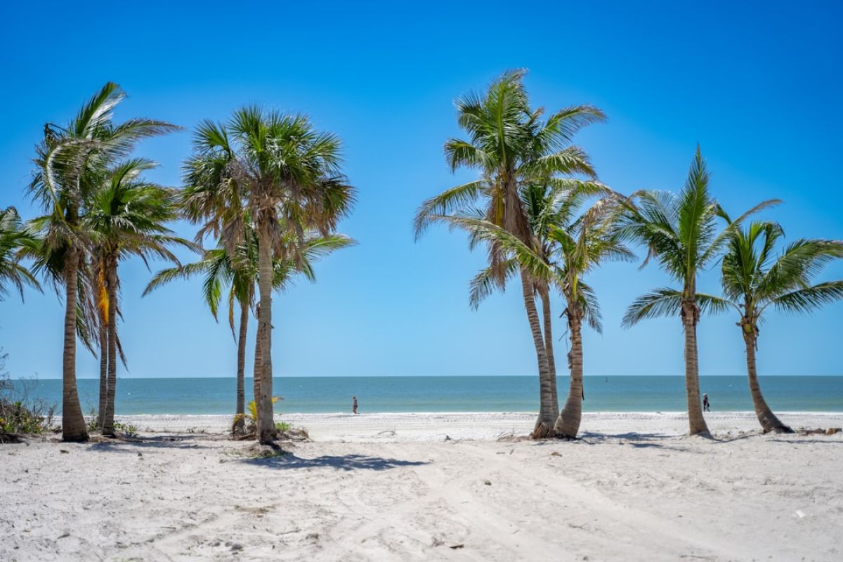 Unveiling Naples' Highest-Paid City Employees: Are You Surprised? 1 featured 1750866636.483413 1c4786b2 Unveiling Naples' Highest-Paid City Employees: Are You Surprised?