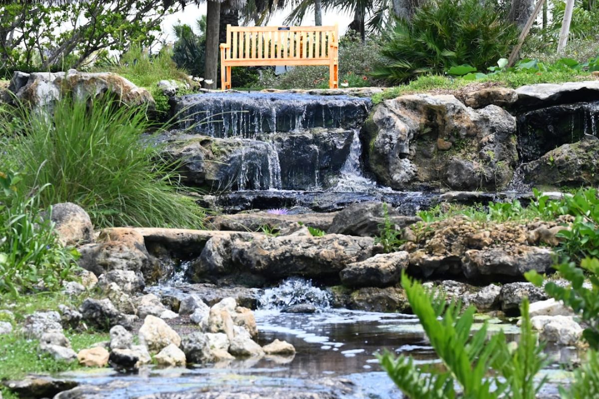 featured 1751053894.814359 273b3e4c Naples Weather Update