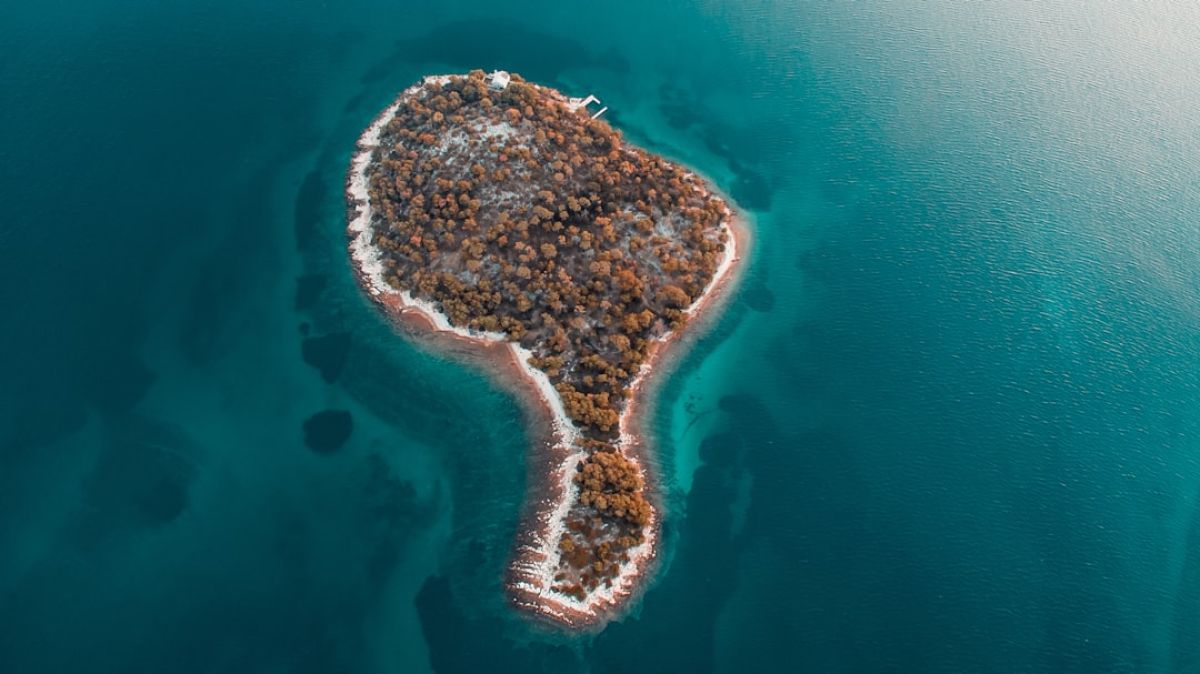 Latest News from Paradise: Naples, Florida 1 featured 1754552800.749619 3963ecf8 Latest News from Paradise: Naples, Florida