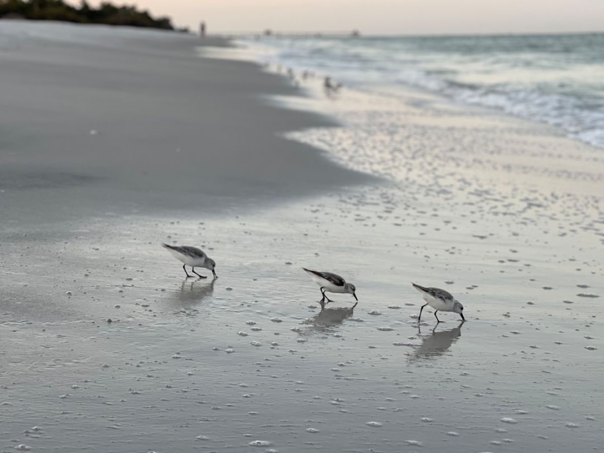 Is Naples the Best Place to Retire on the Gulf Coast? 1 featured 1751205068.155847 3e700336 Is Naples the Best Place to Retire on the Gulf Coast?
