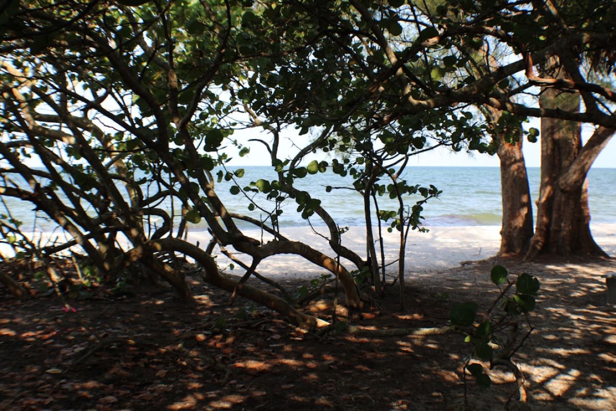 featured 1751773599.393165 42573ed6 Unforgettable Naples: Experiences You Won't Want to Miss