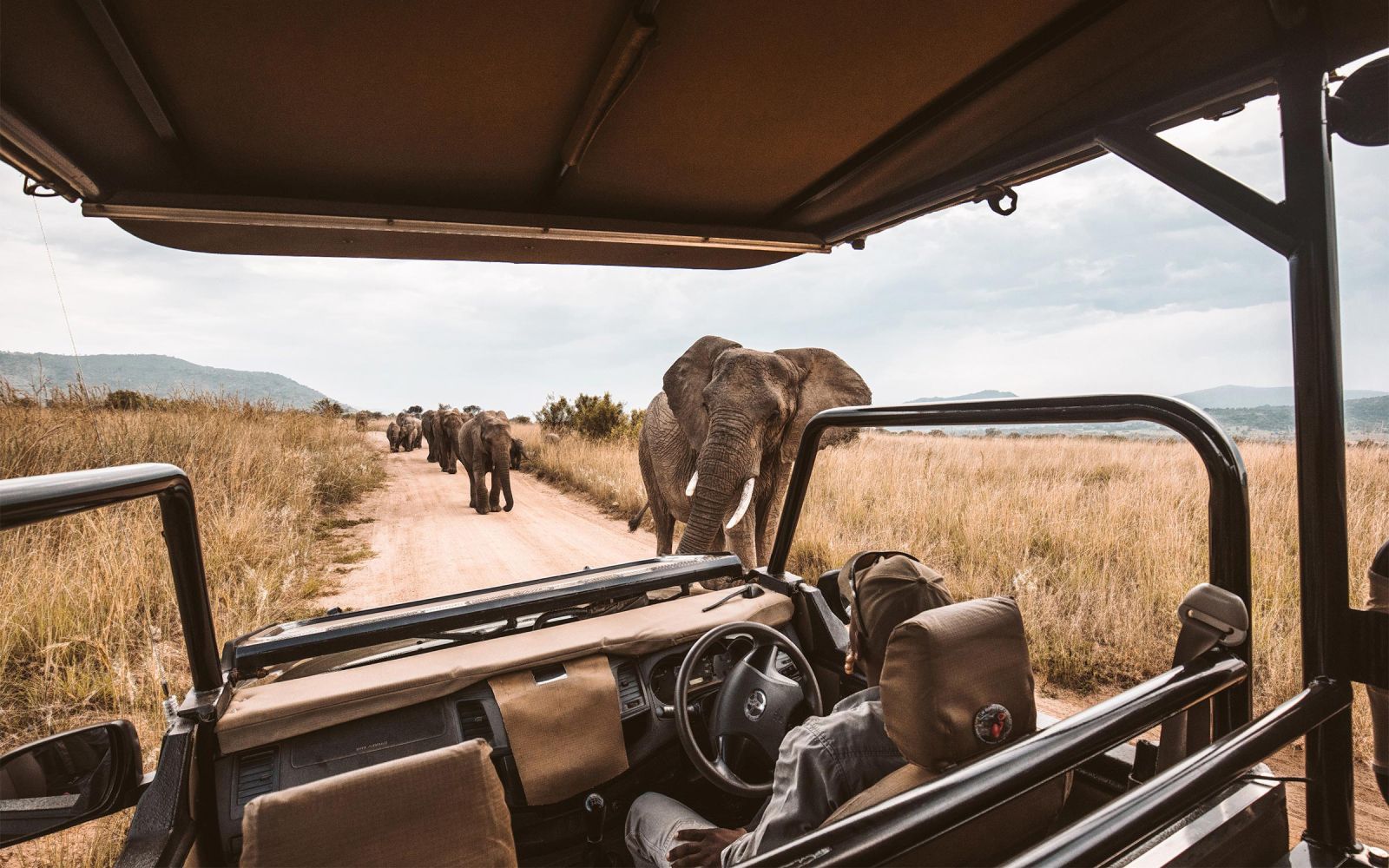 travel post african wildlife family safari vacation in kenya and tanzania 4677bd75 African wildlife family safari vacation in Kenya and Tanzania