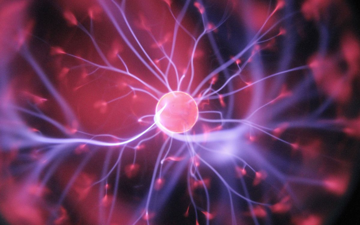 Scientists try to synthesize neurological processes 1 science post scientists try to synthesize neurological processes 479a389e Scientists try to synthesize neurological processes