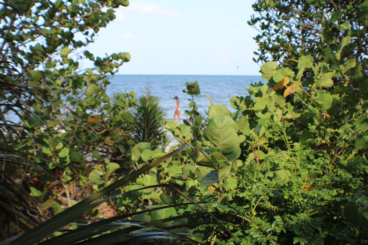 Is Naples the Best Place to Retire on the Gulf Coast? 1 featured 1751172703.301773 4bcc7d19 Is Naples the Best Place to Retire on the Gulf Coast?