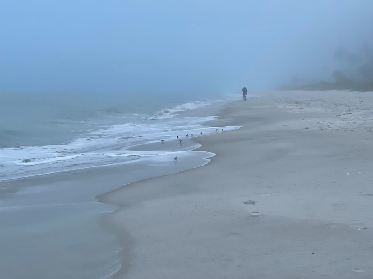 Naples Makes the Cut: 7 Must-See Gulf Coast Gems 1 featured 1751075564.398967 6011d9d5 Naples Makes the Cut: 7 Must-See Gulf Coast Gems