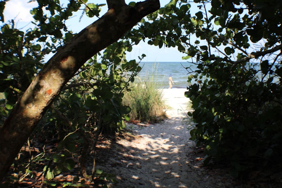 featured 1755762399.308828 6c777caf Naples Resident Ruth Stefanek Remembered