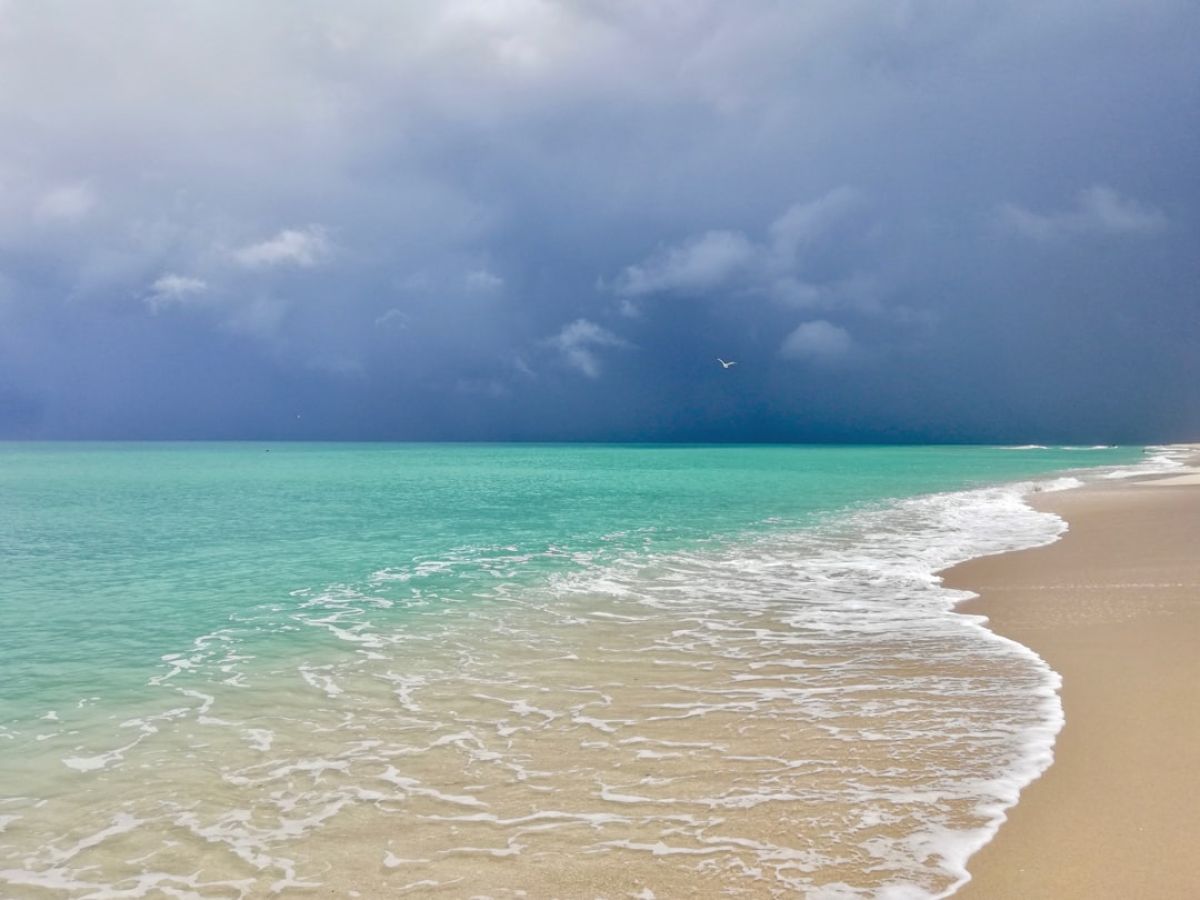 Naples Resident and Philanthropist Donald Buske Passes Away 1 featured 1750992698.688856 70c6c16b Naples Resident and Philanthropist Donald Buske Passes Away