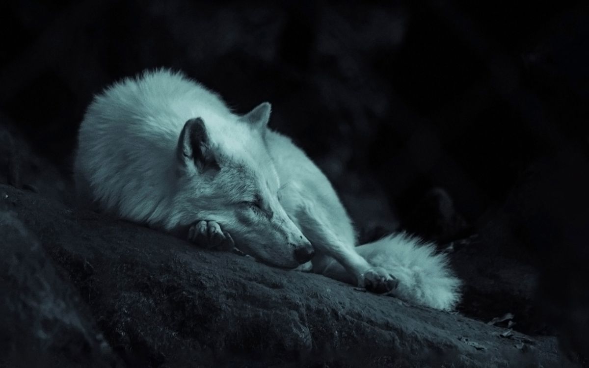The Night Watch final season recap – All is good it seems but we still feel hollow 1 entertainment post the night watch final season recap 7617272f The Night Watch final season recap – All is good it seems but we still feel hollow