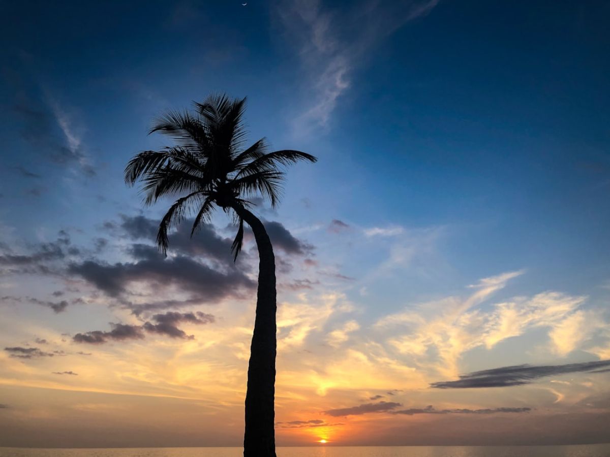Paradise Lost? Workforce Housing Crisis Grips SWFL 1 featured 1751122266.048937 80c83da9 Paradise Lost? Workforce Housing Crisis Grips SWFL