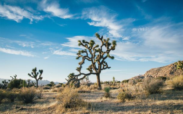travel post consequences of rising heat for desert life 8f1c5bec How to use less plastic on your journey