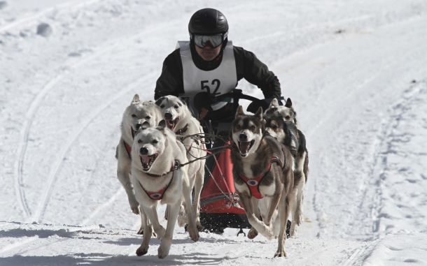 sports post compete in alaskan opens lifelong dream a018b185 The winners of Lillehammer