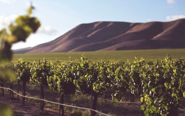 travel post the california wine region that you need to visit now aa122234 The most scenic hikes and campsites around the world