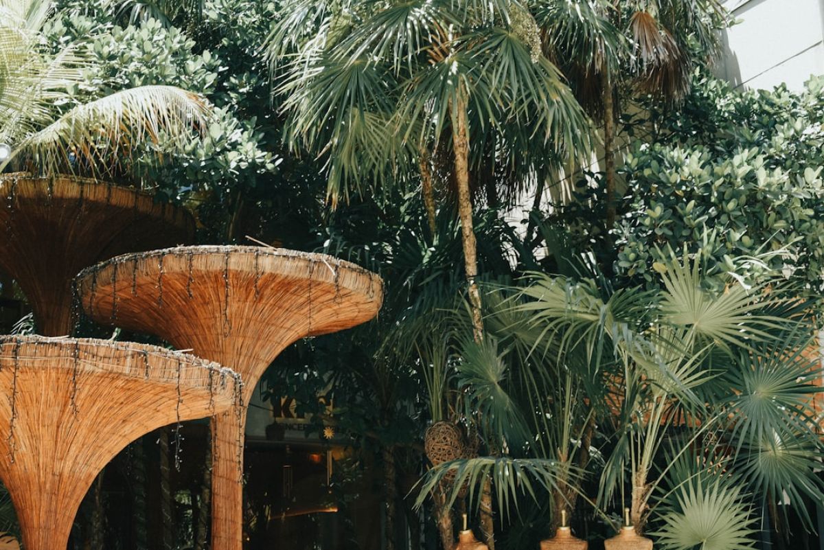 Explore Naples' Wild Side at Rookery Bay 1 featured 1754552733.604734 c0676d78 Explore Naples' Wild Side at Rookery Bay