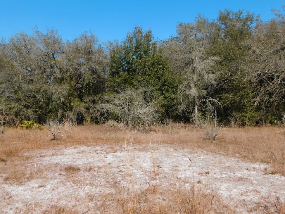 Naples' Next Hot Neighborhood: Get In on the Ground Floor 1 featured 1750960334.356332 c340049e Naples' Next Hot Neighborhood: Get In on the Ground Floor