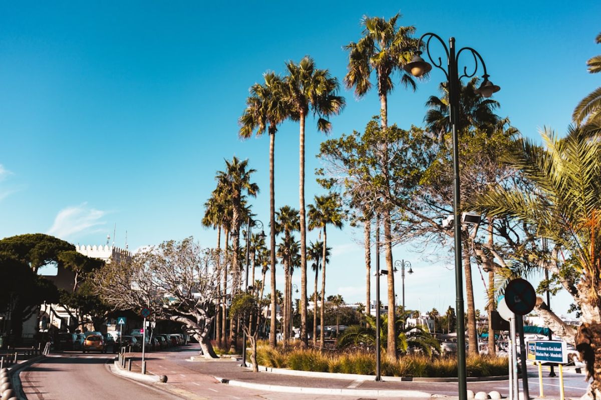 featured 1751453536.077153 df4496a4 Naples Casting Call! Lights, Camera, Action!