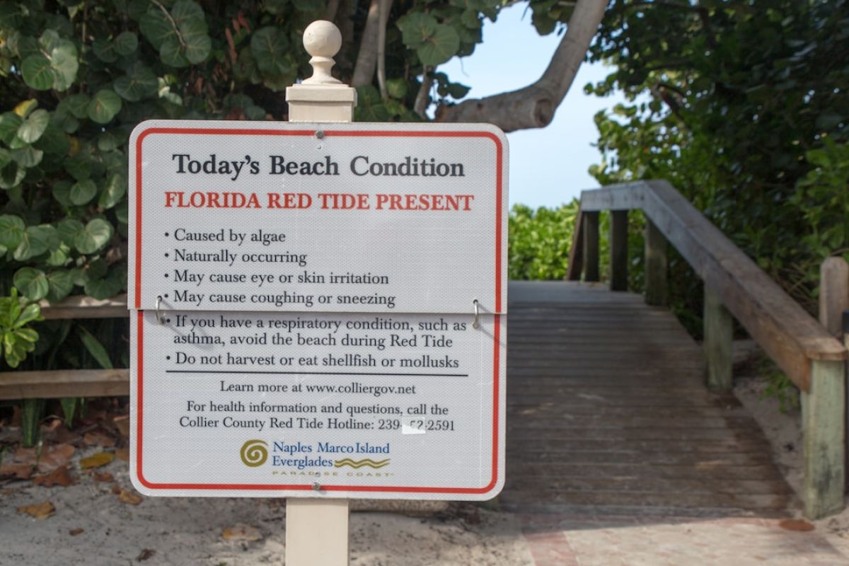 Naples Resident and Beloved Community Member, Donald Buske, Passes Away 1 featured 1750809634.94738 e85d423f Naples Resident and Beloved Community Member, Donald Buske, Passes Away