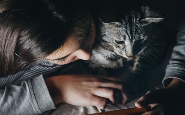 science post curious relationship between cats and their humans f8d72e14 With all festivals off this year, what will people do instead?