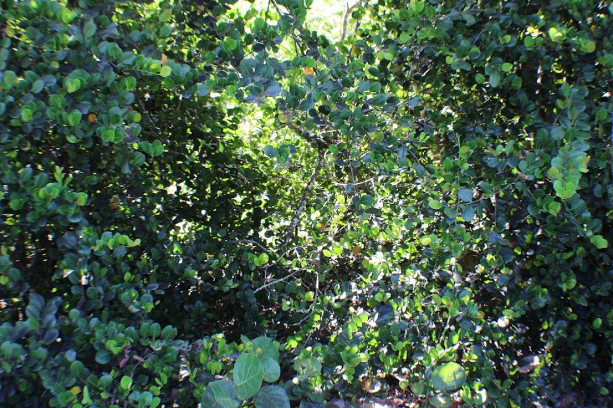 Naples Mystery Solved: Missing Woman's Harrowing Story 1 featured 1753688864.583951 fa0e7b47 Naples Mystery Solved: Missing Woman's Harrowing Story