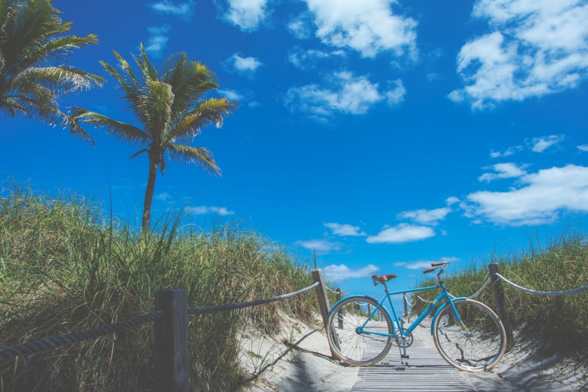 featured 1754811965.706179 fbbfe4cb Explore Naples' Wild Side at Rookery Bay's Reimagined Center